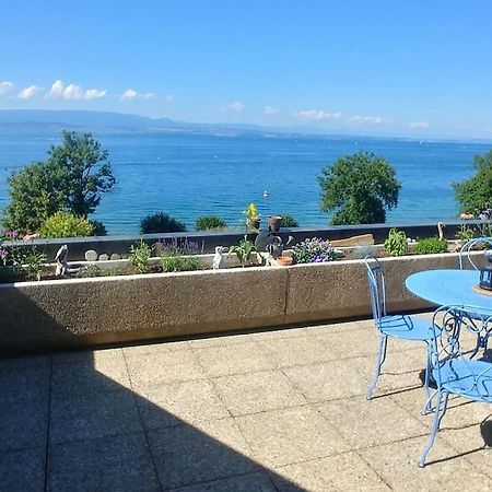 Lakefront. Appartement Pieds Dans L'Eau. View And Direct Access To The Lake. Anthy-sur-Leman Kültér fotó