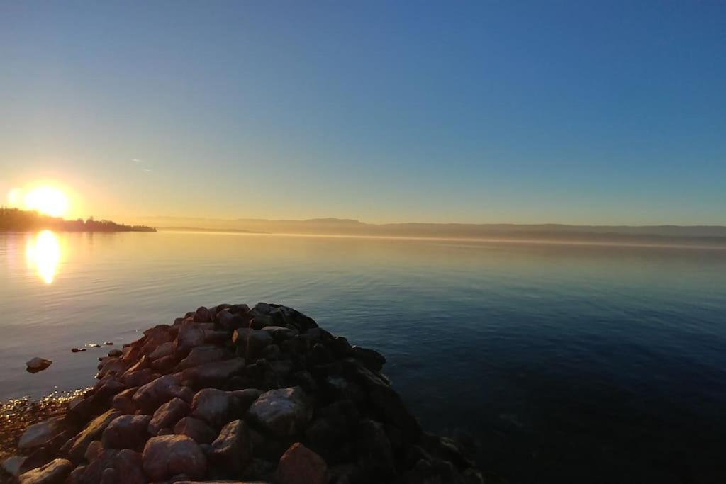 Lakefront. Appartement Pieds Dans L'Eau. View And Direct Access To The Lake. Anthy-sur-Leman Kültér fotó