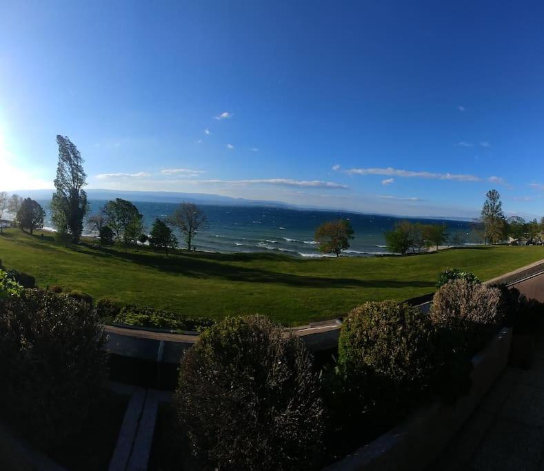 Lakefront. Appartement Pieds Dans L'Eau. View And Direct Access To The Lake. Anthy-sur-Leman Kültér fotó